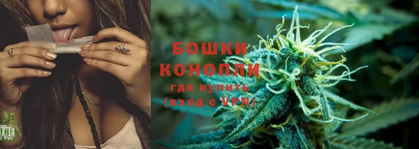 шишки Бородино