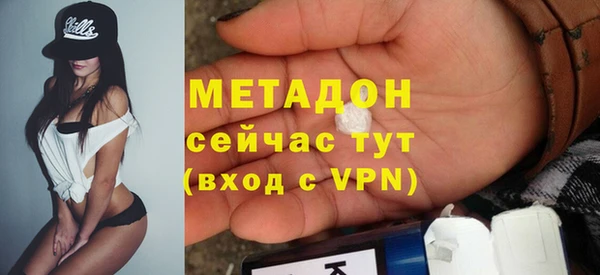 шишки Бородино