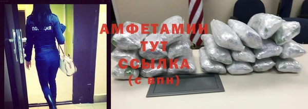 шишки Бородино