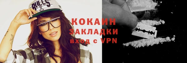 шишки Бородино