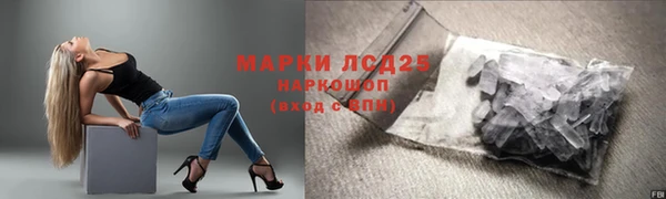 PSILOCYBIN Бугульма
