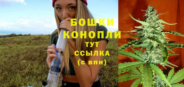 PSILOCYBIN Бугульма