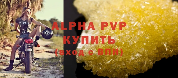 шишки Бородино