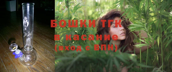 PSILOCYBIN Бугульма