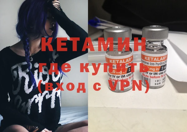 шишки Бородино