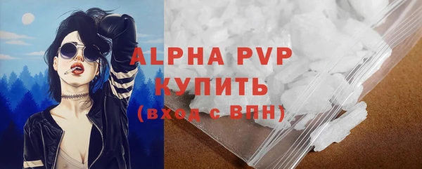 шишки Бородино