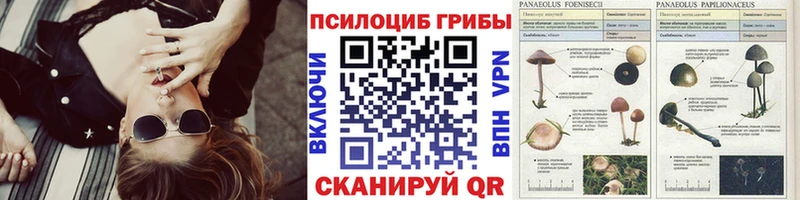 blacksprut вход  Шебекино  Галлюциногенные грибы Magic Shrooms 